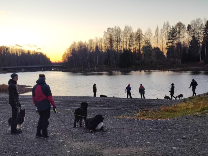 Koiraharrastajat juomatauolla.