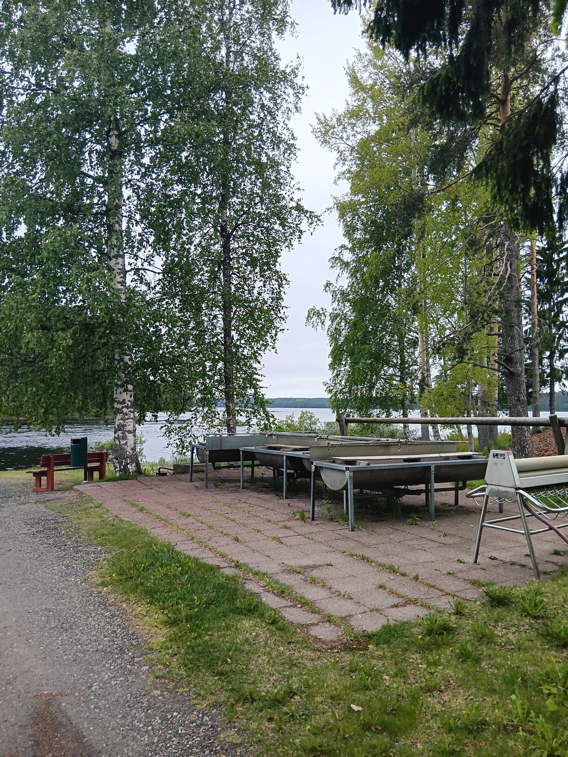 Kuhmon matonpesupaikka keväällä, koivujen ympäröimänä.